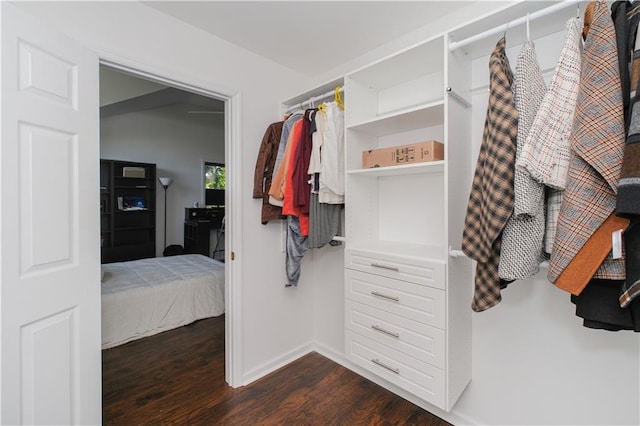 5 Haywood St, Staten Island, NY 10307 - spacious closet with dark wood finished floors