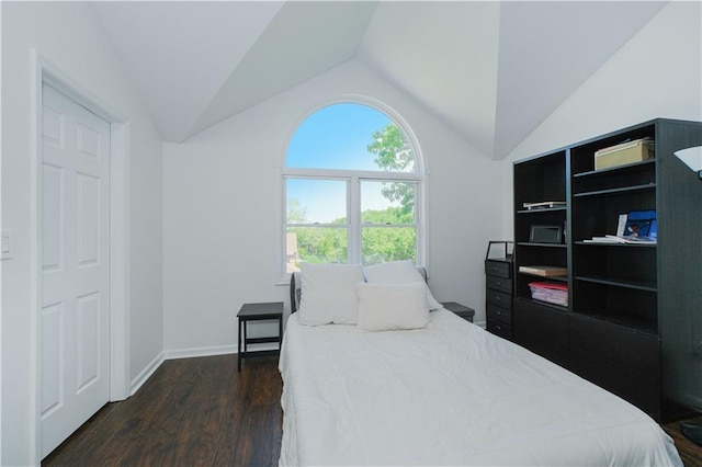 5 Haywood St, Staten Island, NY 10307 - bedroom with wood finished floors, lofted ceiling, and baseboards