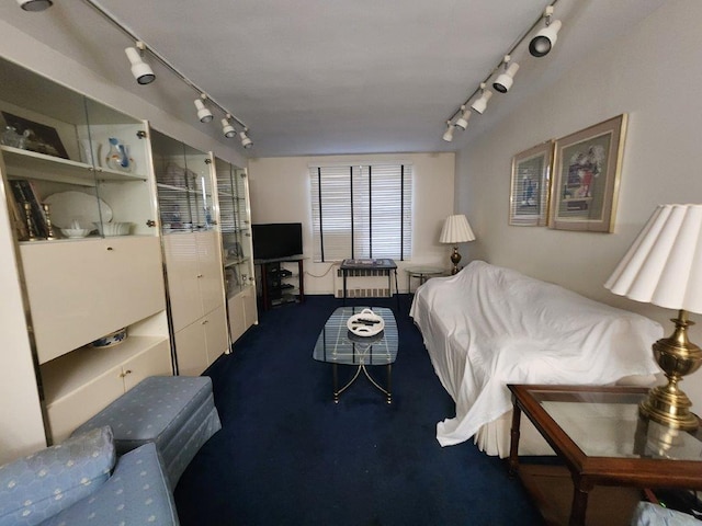 2251 Plumb St Unit 6B, Brooklyn, NY 11229 - living area with rail lighting and carpet
