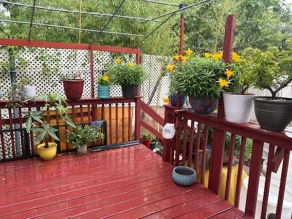 30 Winegar Ln, Staten Island, NY 10310 - view of wooden deck