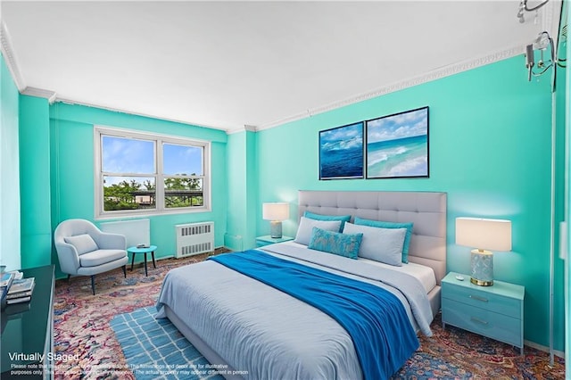 2942 W 5th St Apt 5-N, Brooklyn, NY 11224 - bedroom with radiator heating unit and crown molding