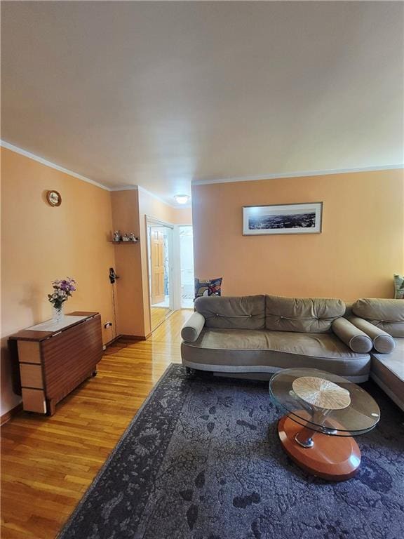388 Avenue S Unit 2C, Brooklyn, NY 11223 - living room featuring light wood-style floors and ornamental molding