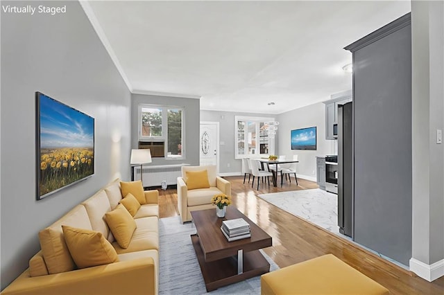 1650 E 48th St, Brooklyn, NY 11234 - living room with radiator heating unit, ornamental molding, and light wood-type flooring