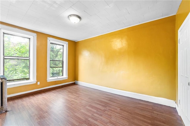 317 Pennsylvania Ave, Brooklyn, NY 11207 - spare room featuring wood finished floors