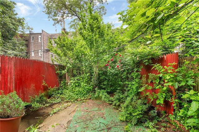 317 Pennsylvania Ave, Brooklyn, NY 11207 - view of yard