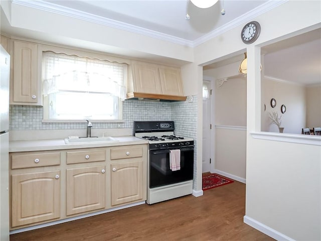 143 Getz Ave, Staten Island, NY 10312 - kitchen featuring range with gas stovetop, custom exhaust hood, backsplash, ornamental molding, and dark wood-type flooring