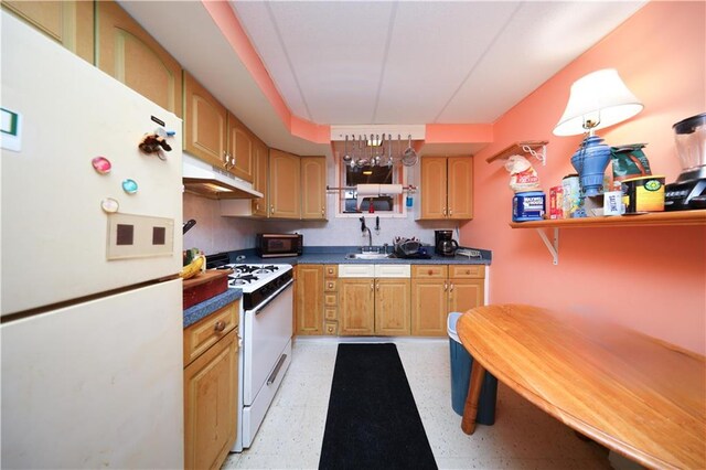 15 Allison Pl, Staten Island, NY 10306 - kitchen featuring white appliances, dark countertops, and under cabinet range hood