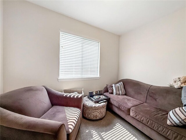 54 Poplar Ave, Staten Island, NY 10309 - view of carpeted living area
