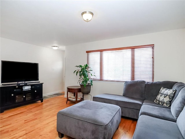 54 Poplar Ave, Staten Island, NY 10309 - living area with light wood-type flooring