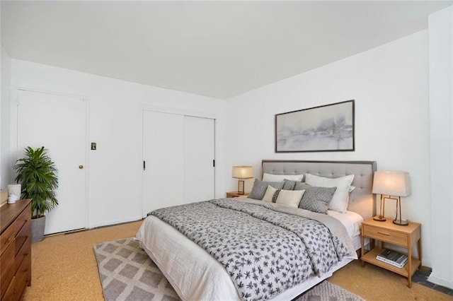 1935 Shore Pkwy Unit 8E, Brooklyn, NY 11214 - bedroom with carpet and a closet