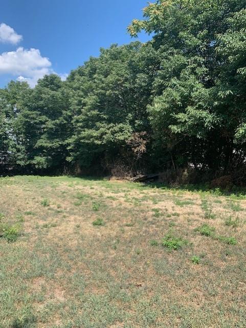 5463 Arthur Kill Rd, Staten Island, NY 10307 - view of tree filled area