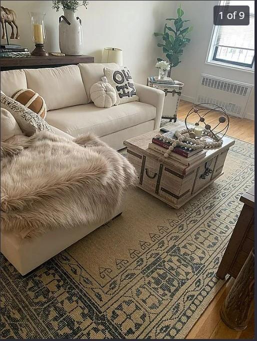 555 Bronx River Rd Unit 5E, Yonkers, NY 10704 - living area featuring radiator heating unit and light wood finished floors
