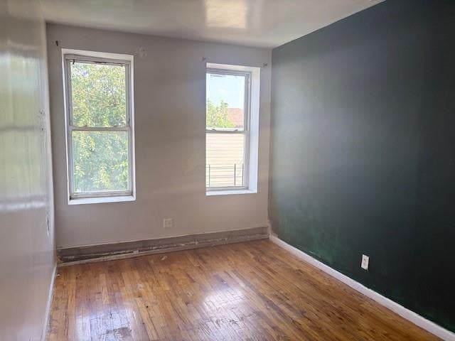 894 New Lots Ave, Brooklyn, NY 11208 - unfurnished room with healthy amount of natural light and wood-type flooring