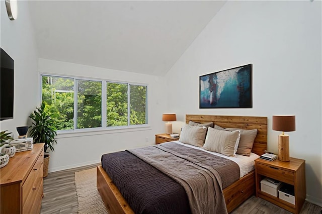 211 Dover Grn, Staten Island, NY 10312 - bedroom featuring wood finished floors and high vaulted ceiling
