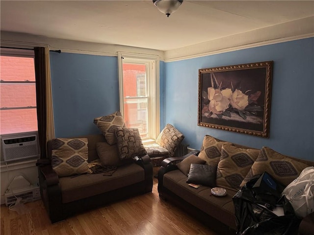 582 Williams Ave, Brooklyn, NY 11207 - living area with wood finished floors and cooling unit