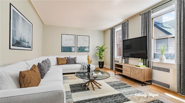 1560 E 18th St Unit 3D, Brooklyn, NY 11230 - living room featuring radiator heating unit, plenty of natural light, and wood finished floors