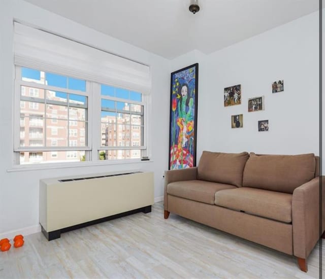 100 Oceana Dr W Unit 4J, Brooklyn, NY 11235 - living area with radiator, light wood-type flooring, and plenty of natural light