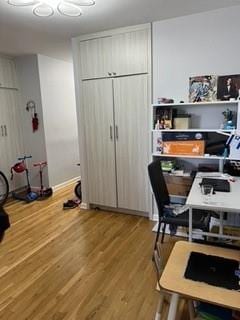 1855 E 12th St Unit 4M, Brooklyn, NY 11229 - home office with light wood-type flooring and baseboards