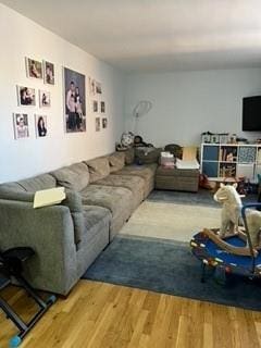 1855 E 12th St Unit 4M, Brooklyn, NY 11229 - living room featuring wood finished floors