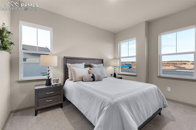 view of carpeted bedroom