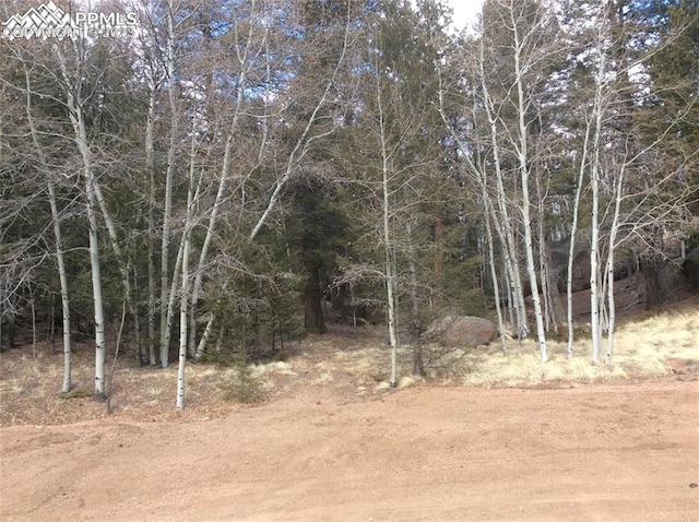 926 Pinion Ln, Florissant CO, 80816 land for sale