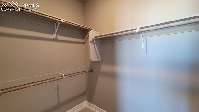 view of spacious closet