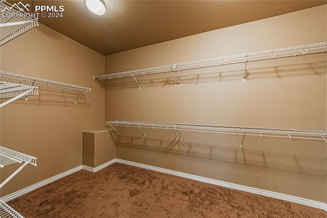 spacious closet featuring carpet