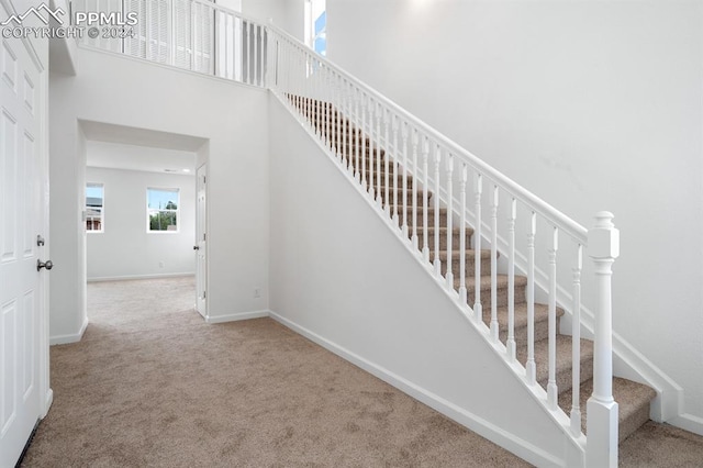 staircase with a high ceiling and carpet floors