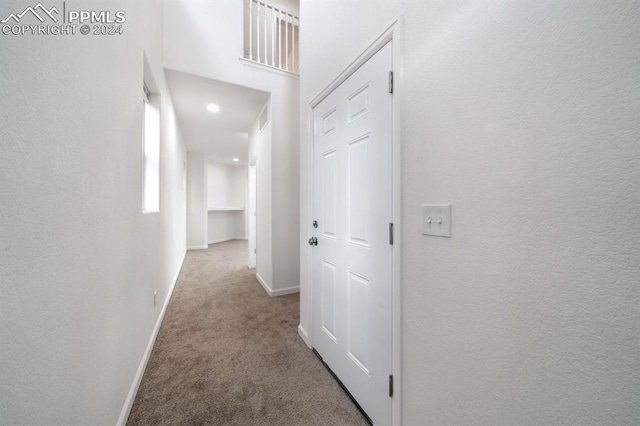 hallway with carpet flooring