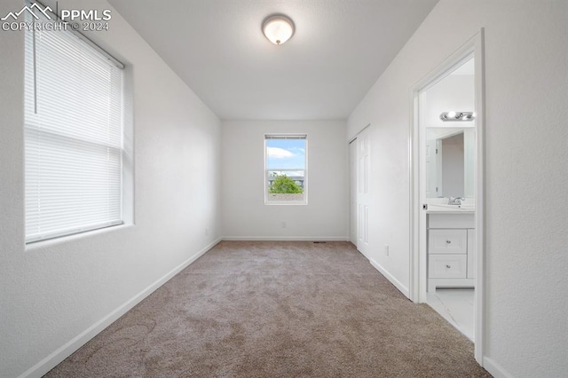 interior space featuring sink and light colored carpet