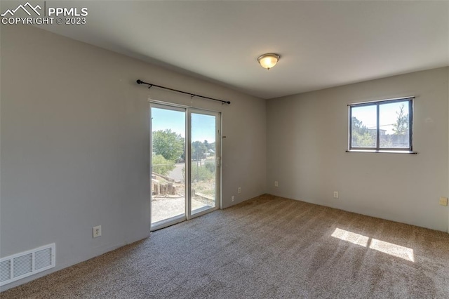 carpeted spare room featuring plenty of natural light