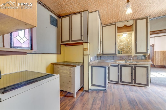 kitchen with crown molding, dark wood-type flooring, white cabinetry, and sink