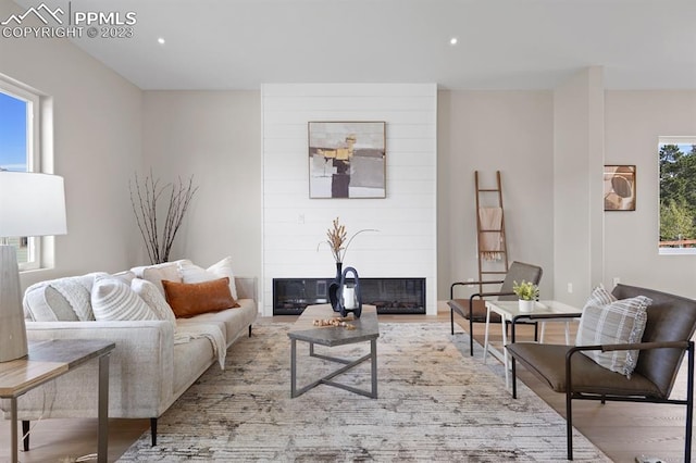 living room featuring a large fireplace and light wood-type flooring