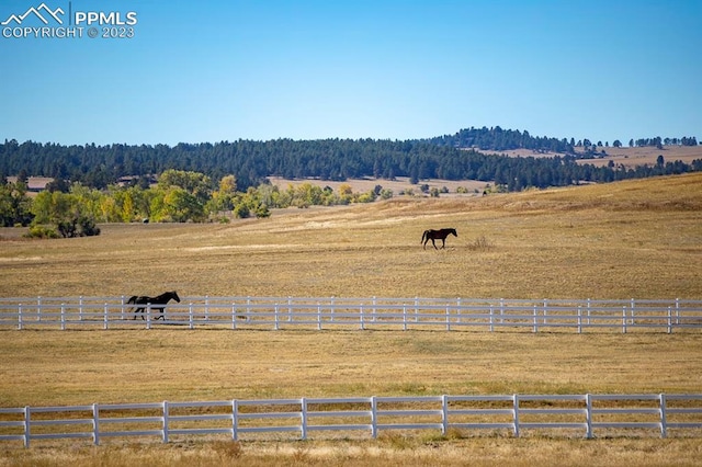 property view of mountains with a rural view