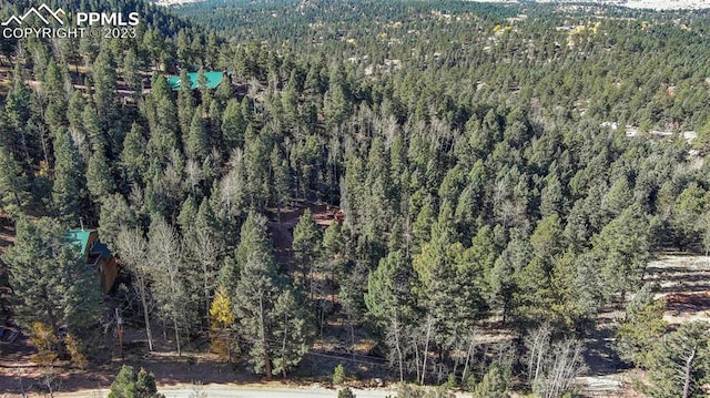 2700 N Mountain Estates Rd, Florissant CO, 80816 land for sale