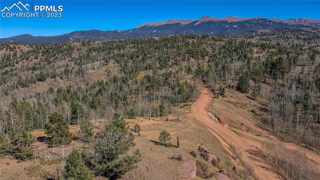 1343 Golden Cycle Cir, Cripple Creek CO, 80813 land for sale