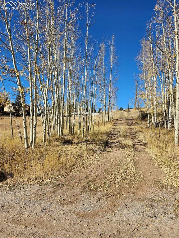 Listing photo 3 for L15-19B34 Crystal St, Cripple Creek CO 80813