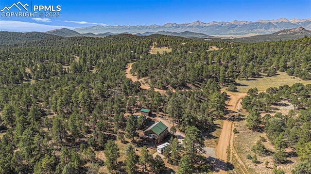 drone / aerial view featuring a mountain view