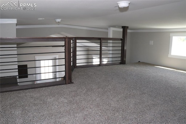 interior space featuring ornamental molding and carpet