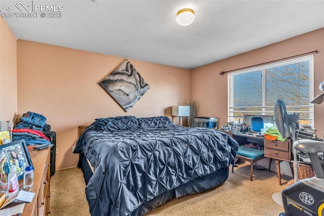 bedroom with carpet floors