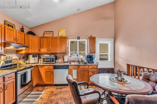 kitchen featuring lofted ceiling, light stone countertops, stainless steel appliances, and sink