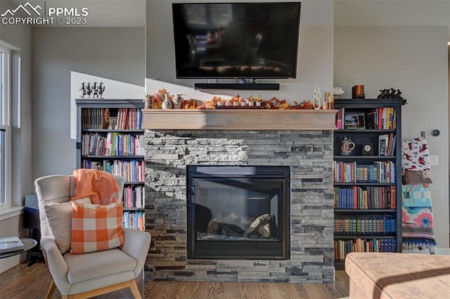 interior space with dark hardwood / wood-style flooring and a fireplace