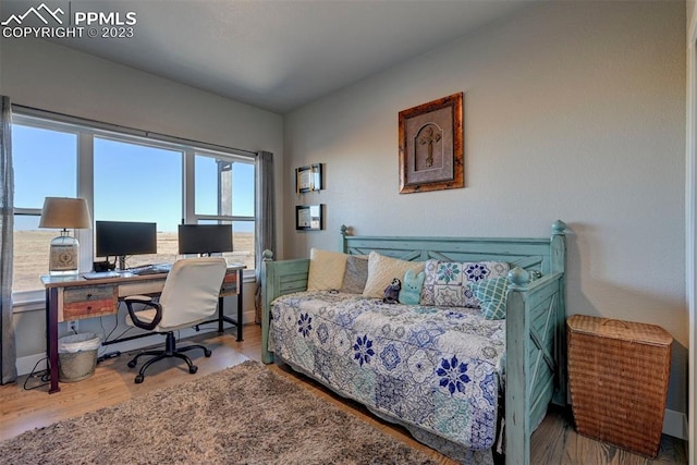 bedroom with light hardwood / wood-style flooring