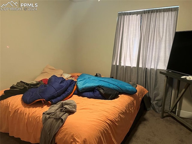 bedroom with carpet floors