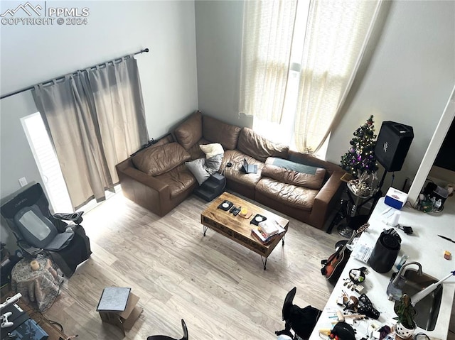 living room with a healthy amount of sunlight and light wood-type flooring