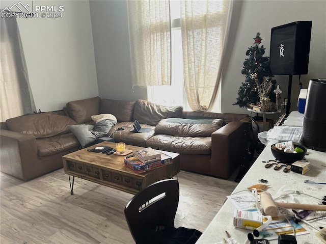 living room featuring light hardwood / wood-style floors