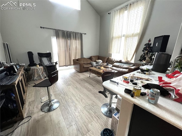 living room featuring vaulted ceiling and light hardwood / wood-style flooring