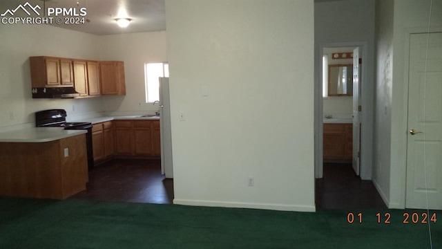 kitchen featuring black / electric stove, range hood, sink, and white refrigerator