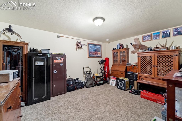 miscellaneous room with a textured ceiling and carpet