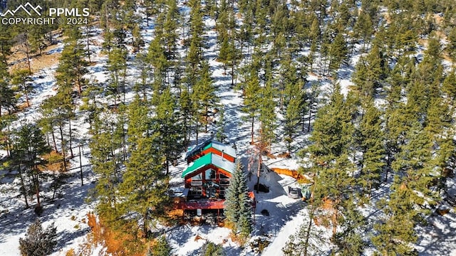 view of snowy landscape